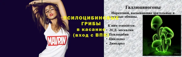 трава Балахна